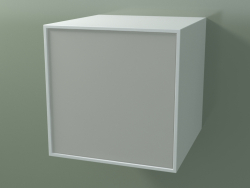 Box (8AUACB03, Gletscherweiß C01, HPL P02, L 48, P 50, H 48 cm)