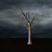 3d model tree - preview