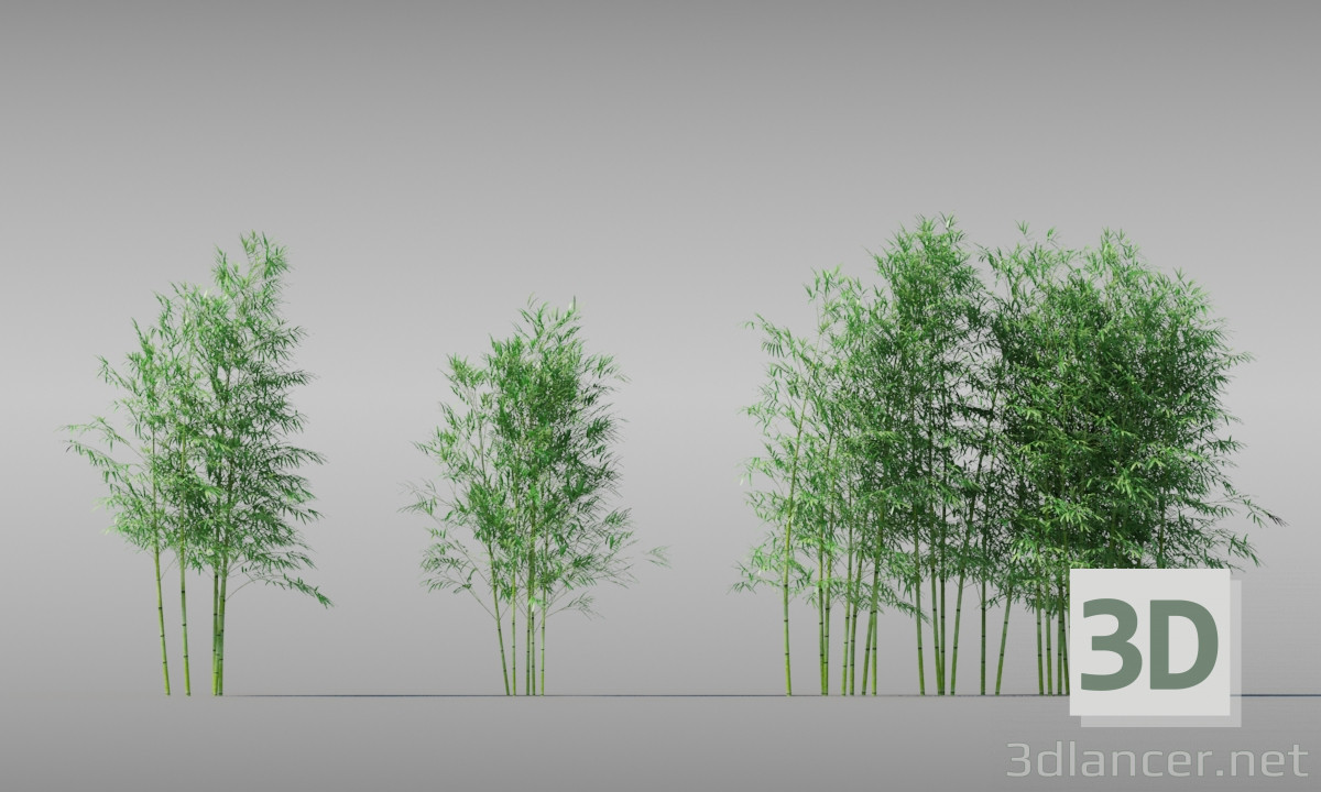 3d model BAMBOO TREE - preview