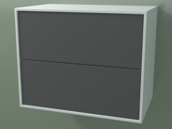 Double drawer (8AUBCA01, Glacier White C01, HPL P05, L 60, P 36, H 48 cm)
