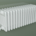 modello 3D Radiatore tubolare PILON (S4H 6 H302 15EL, bianco) - anteprima