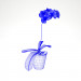 modello 3D di Orchidea Phalaenopsis comprare - rendering