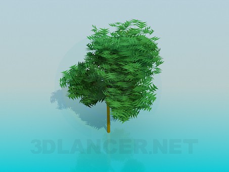 3d модель Дерево – превью 3d модель Дерево – превью