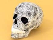 Skull gift with floral pattern