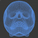 3d Skull gift with floral pattern model buy - render