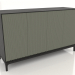 3D Modell TV-Ständer FARGO mit gefrästen Fronten 1600x500x950 mm (Olive, Schwarzeiche, Option 2) - Vorschau
