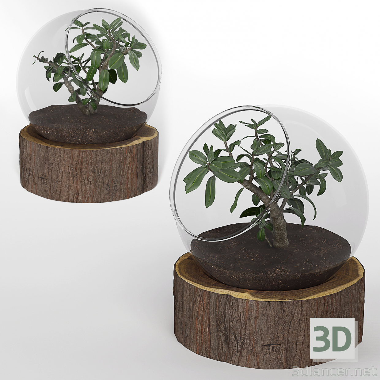 3d Bonsai Plant-01 model buy - render