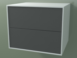डबल बॉक्स (8AUBCB01, ग्लेशियर व्हाइट C01, HPL P05, L 60, P 50, H 482)