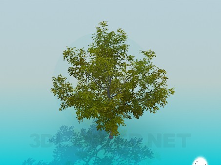 modelo 3D Arce - escuchar modelo 3D Arce - escuchar