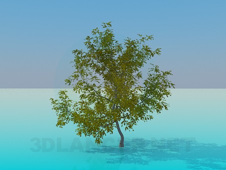 modelo 3D Arce - escuchar modelo 3D Arce - escuchar