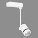 3d model Ceiling lamp Cottus - preview