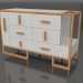 modello 3D Cassettiera BURGAN 1300x475x800 mm - anteprima