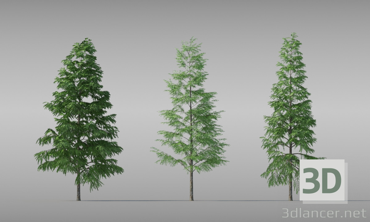 3 डी मॉडल देवदार का पेड़ - पूर्वावलोकन