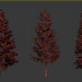 3D modeli çam ağacı - önizleme