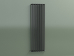Radiateur vertical ARPA 18 (1820x541, noir transport RAL 9005)