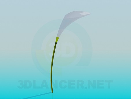 modèle 3D Fleur de Kala - preview