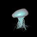 modèle 3D méduse - preview