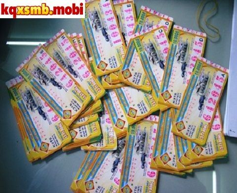 24d03a7c230377f95784442d1fe401de.jpg (480&times;392)